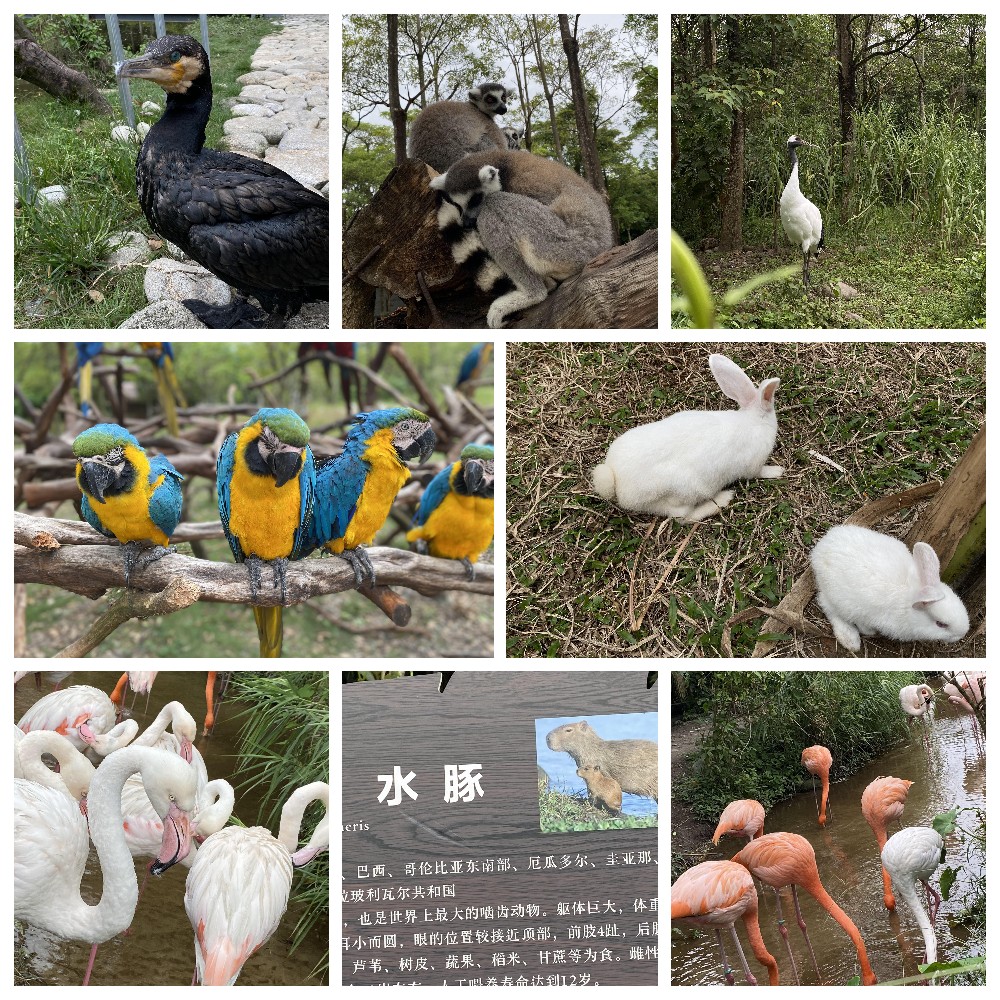 厚積薄發(fā)，蓄力前行：大手牽小手，共圓實佳夢